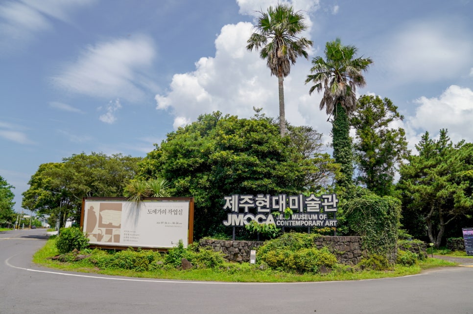 제주다모르 이미지