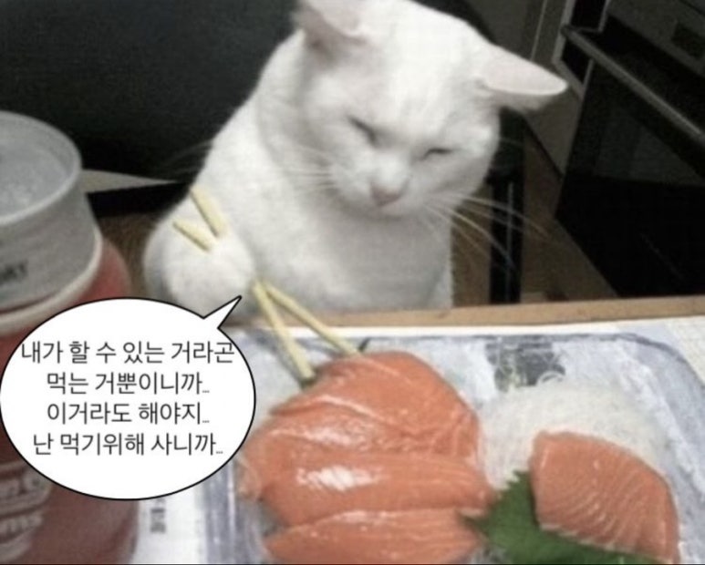 연희샵 이미지