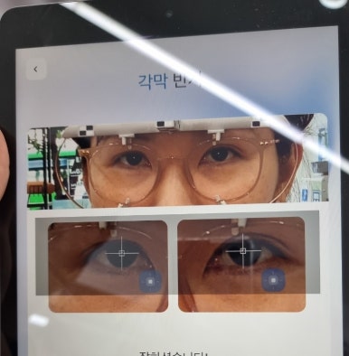 로대오 이미지