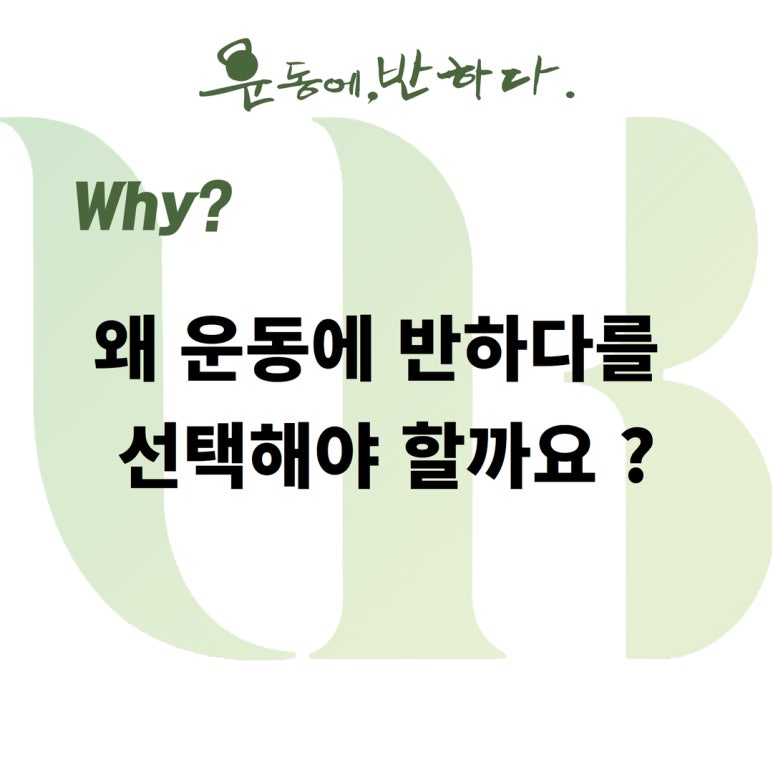 운동에반하다신봉점 이미지