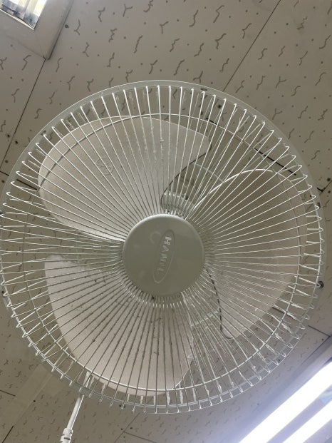 라이언클린 이미지