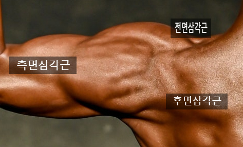 원오원짐 이미지