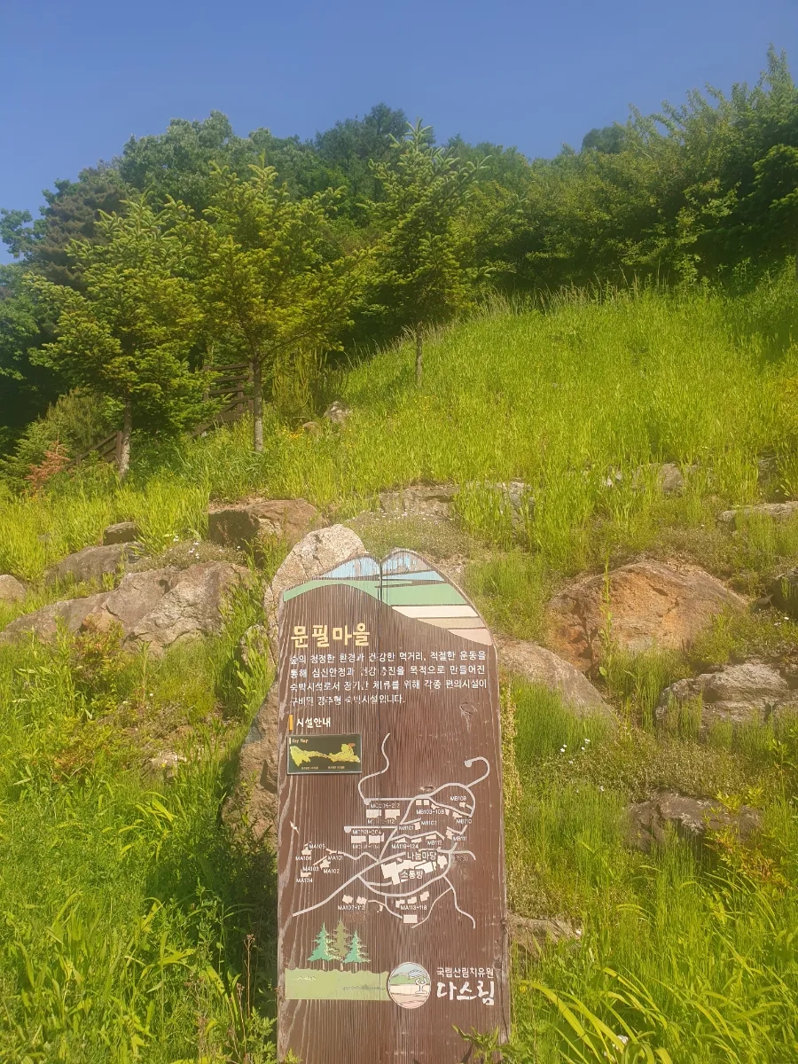 국립산림치유원 문필식당 이미지