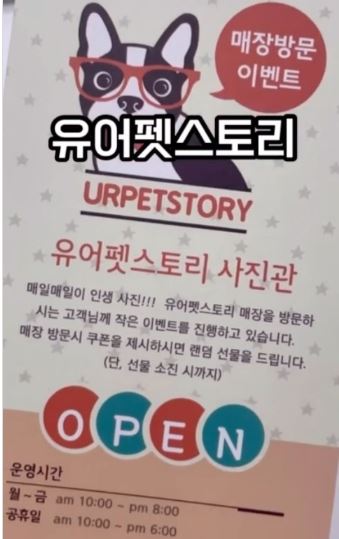 유어펫스토리 이미지