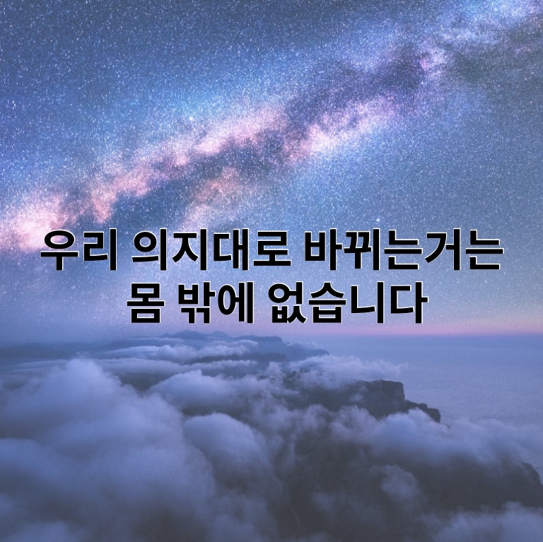 피트니스메카 이미지