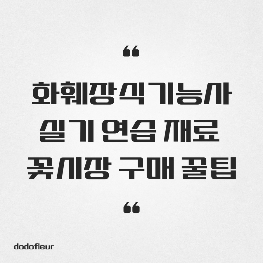 도도플레르 이미지