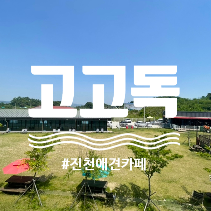 고고독 이미지