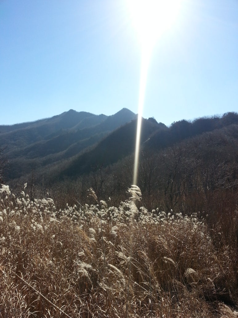 그린소주방 이미지