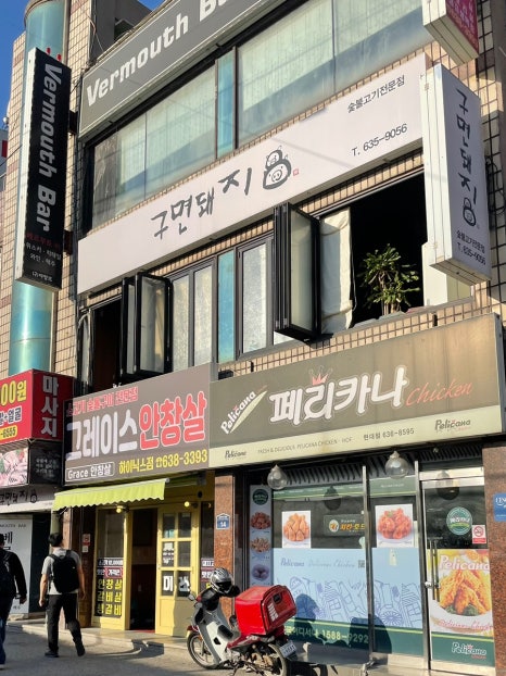 구면돼지 이미지
