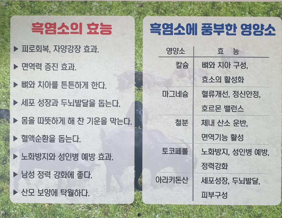 구례흑염소 이미지