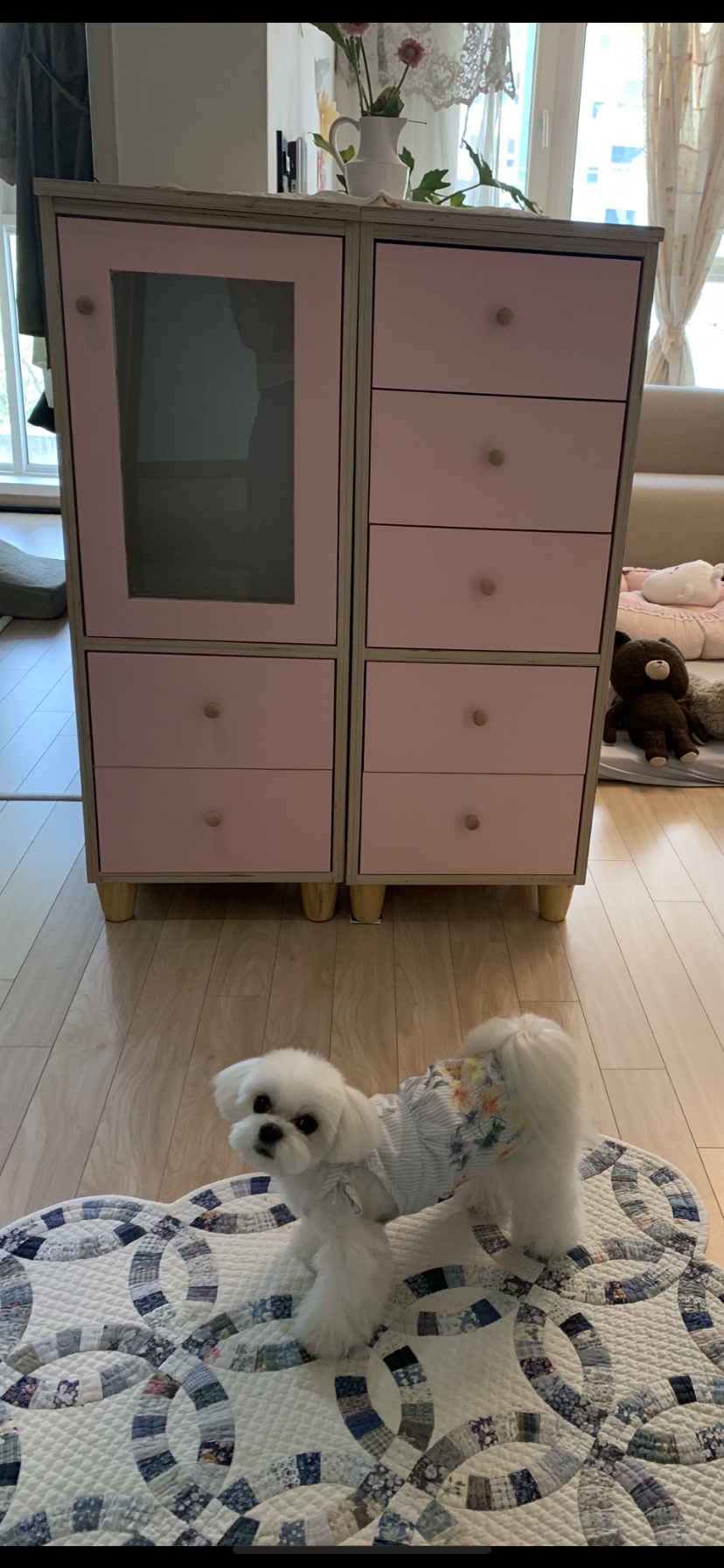 자두옷장 이미지