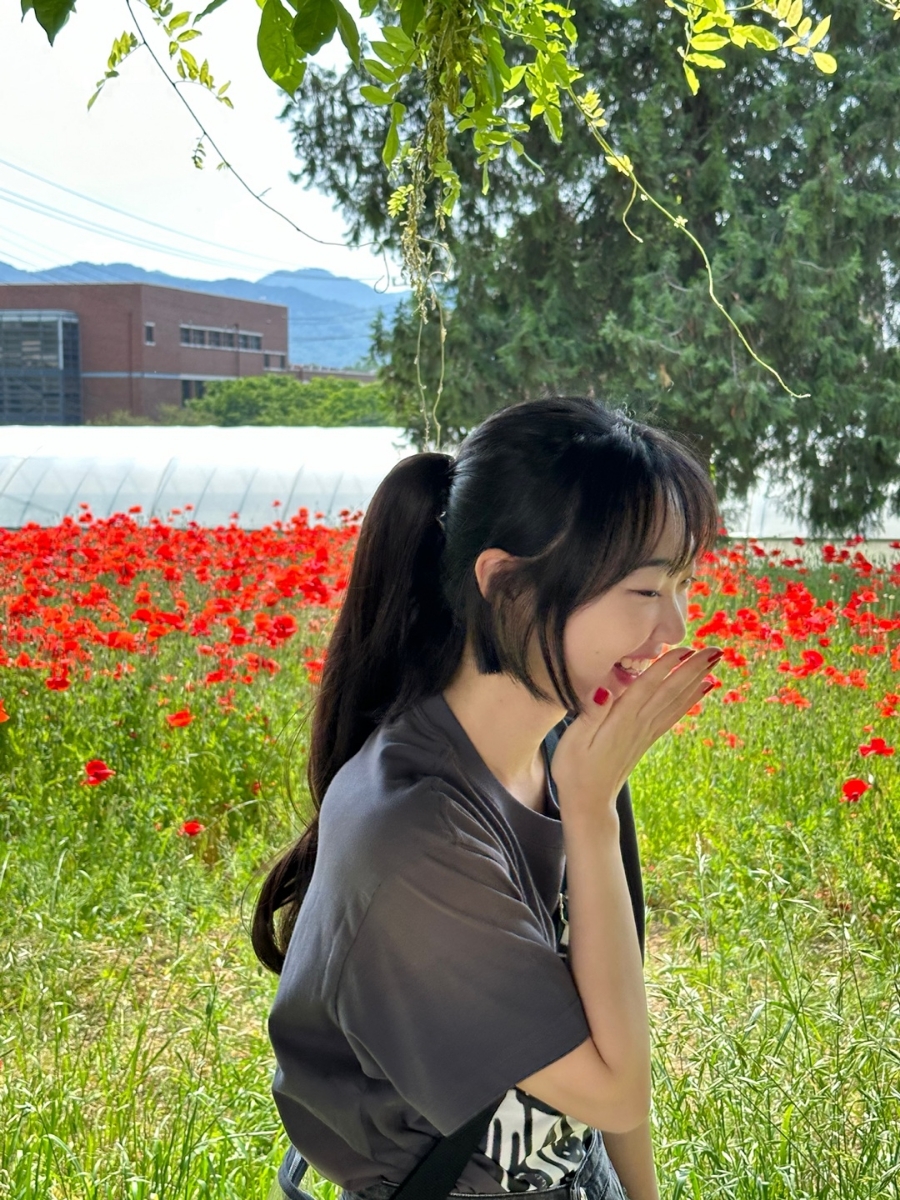 하우헤어 이미지