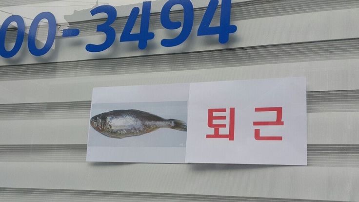 우리오에이 이미지