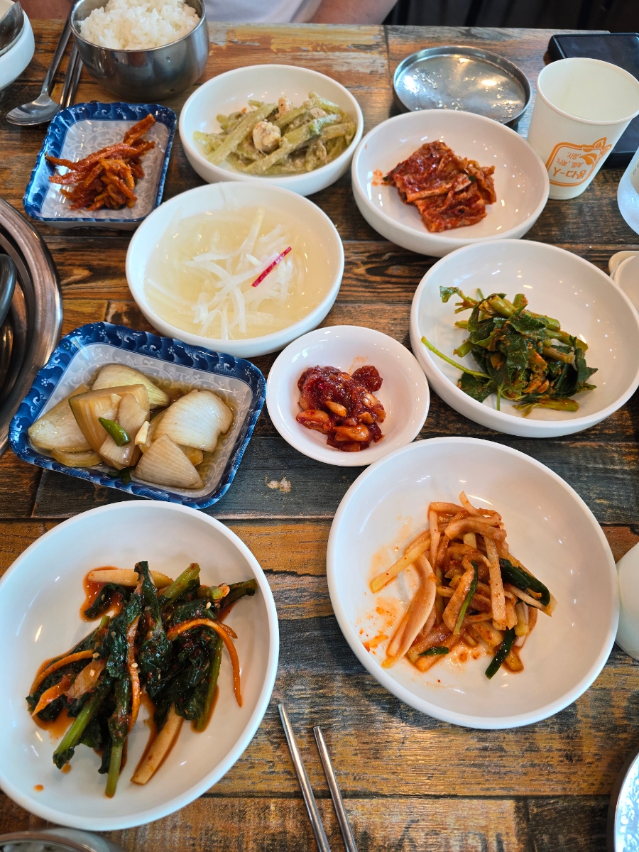 청보리들녘 이미지