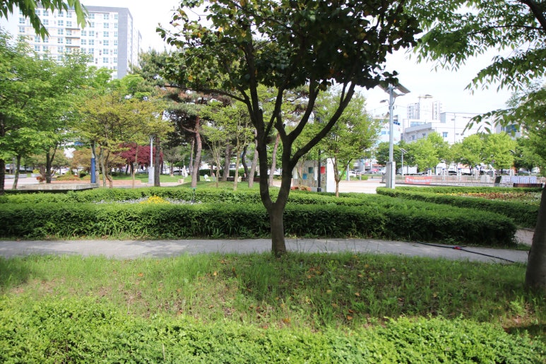 화로닭발 남악점 이미지