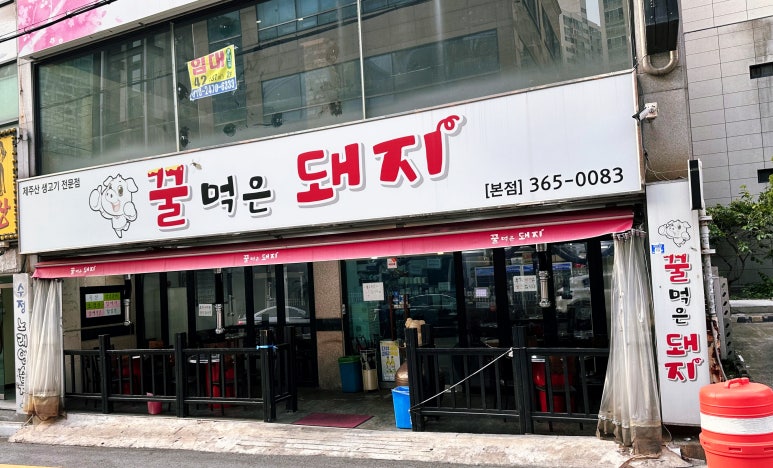 꿀먹은돼지 이미지