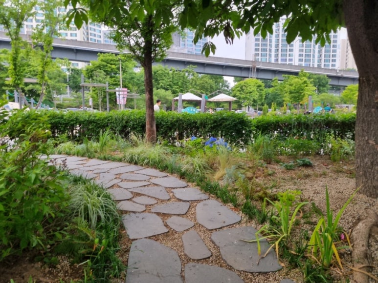 이선장회 이미지