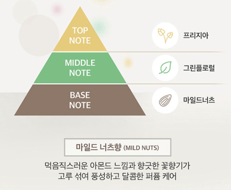 너츠포레스트 이미지