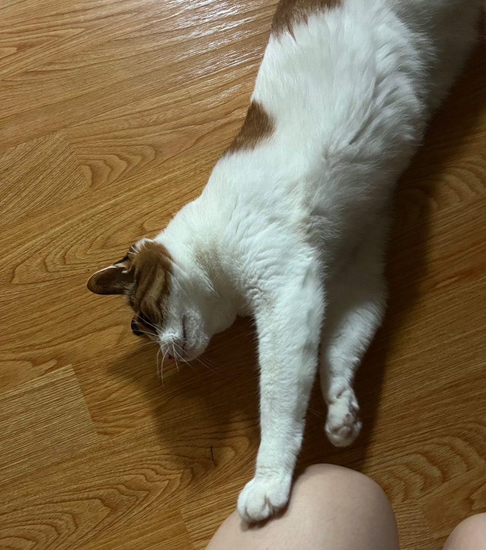 아우어로스터리 이미지