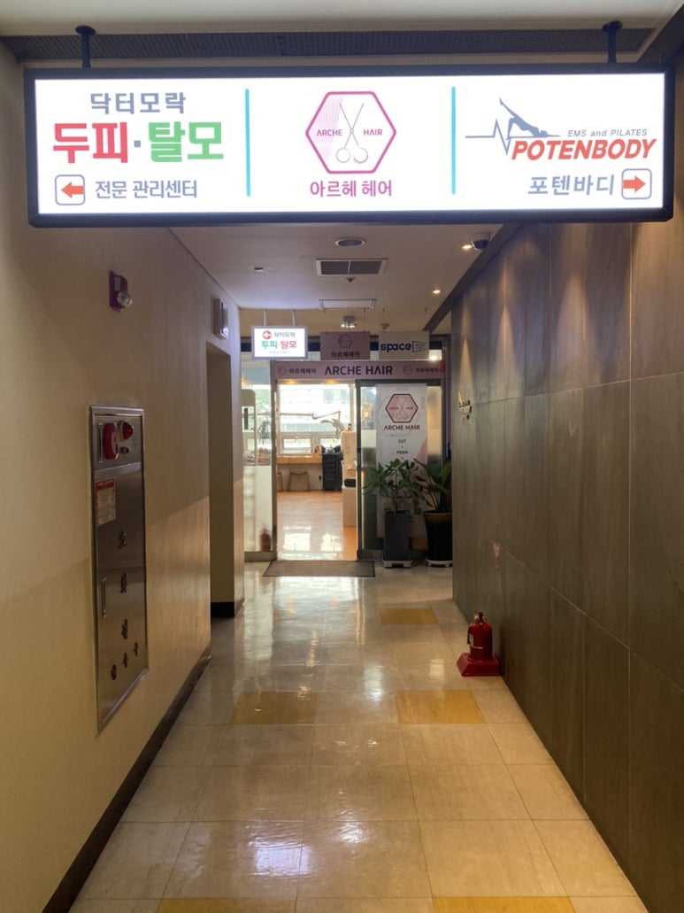 닥터모락 강남점 이미지