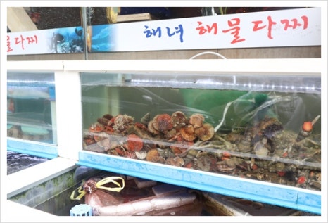해녀해물횟집 이미지