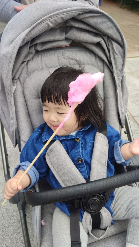 장미한복 이미지