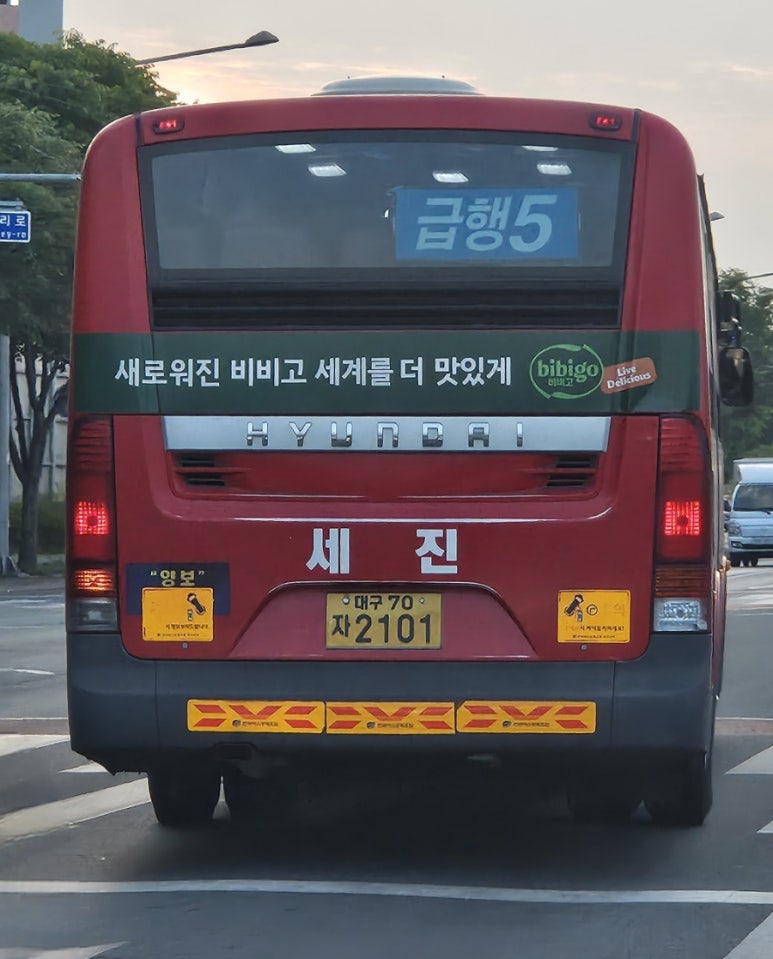 뉴세진광고 이미지