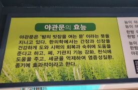 선경능이오리&토끼탕 이미지