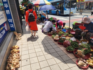 중앙아케이트 이미지