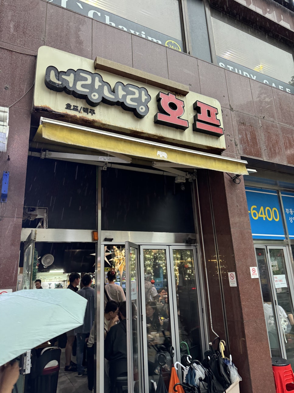 땡큐호프 이미지