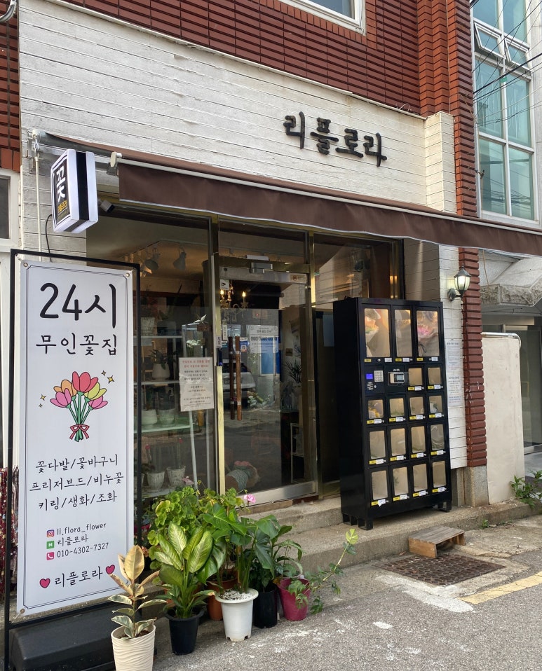 리플로라 이미지