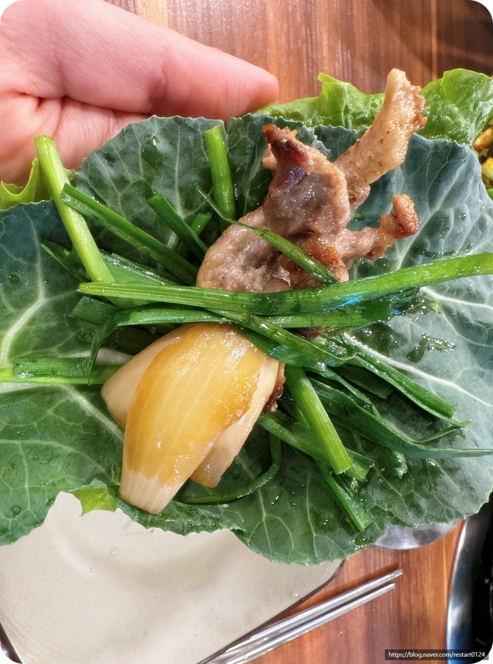 토성오리 이미지