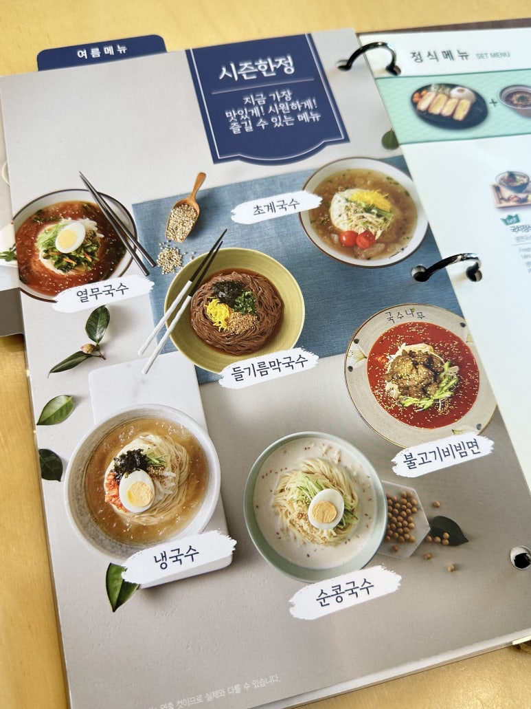 국수나무효자 이미지