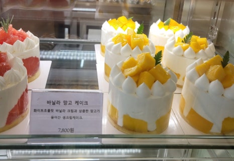 도니블랑 이미지