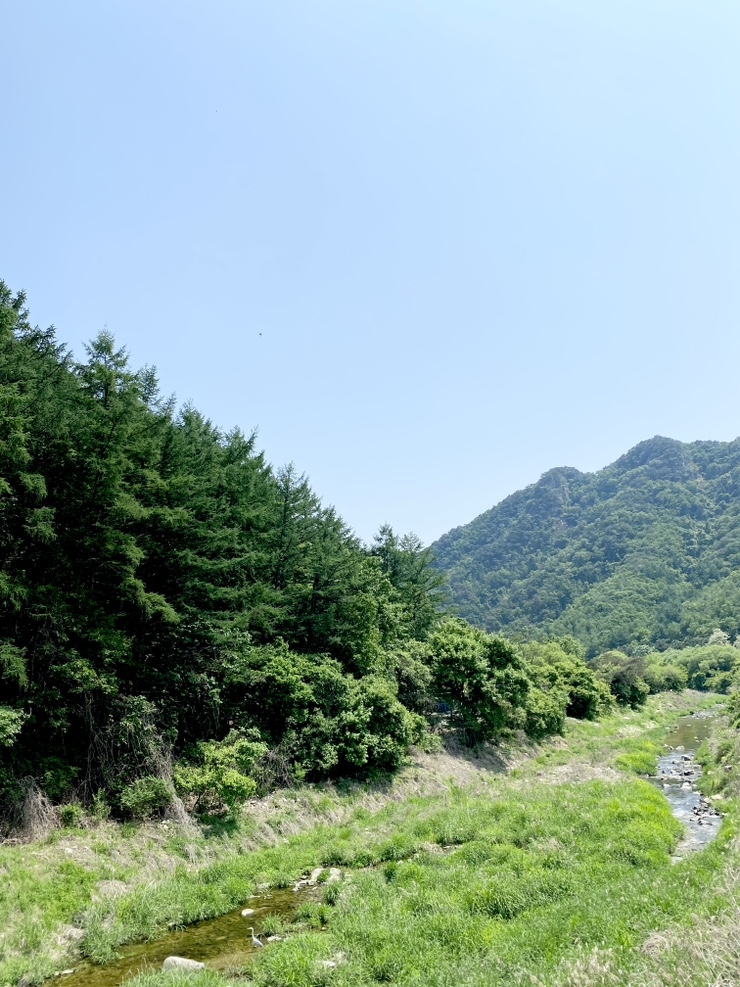 황후수제갈비 이미지