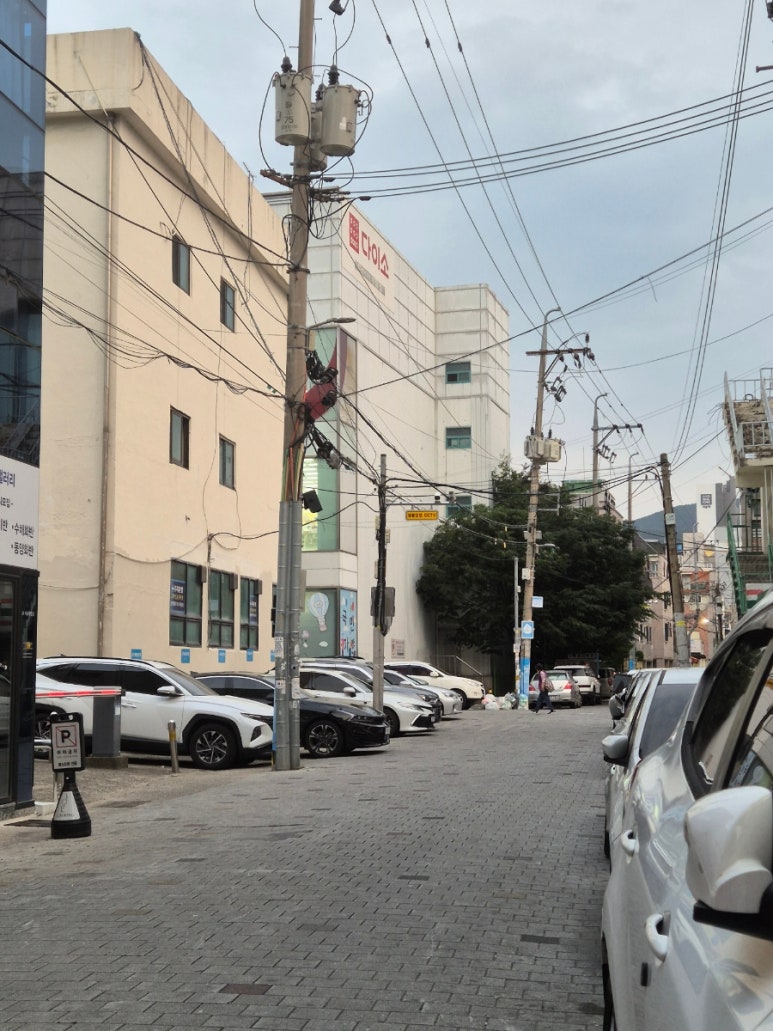 마키즈시 이미지