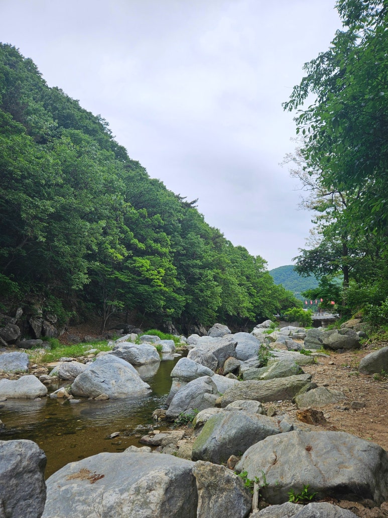 계단매점 이미지
