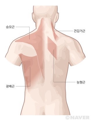반반피트니스 이미지