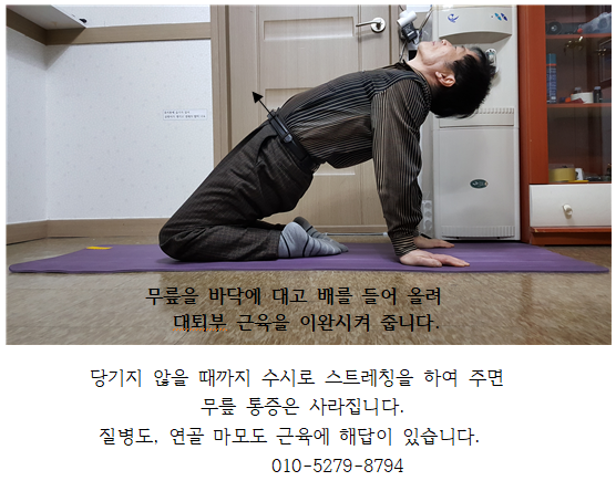 제인바디아트 이미지