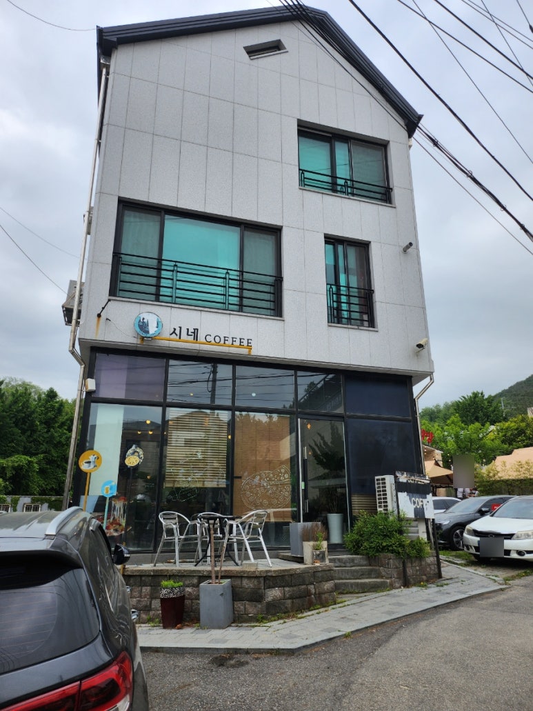엘시네 이미지