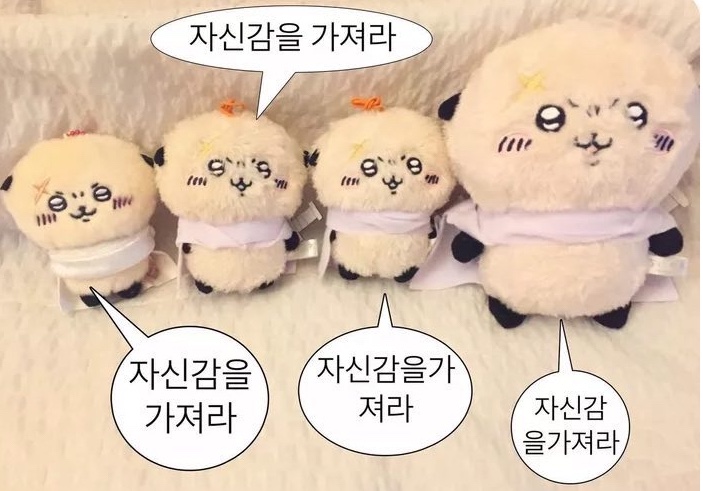 콘블리 이미지