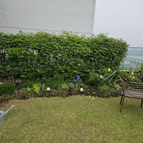 서초옥상 이미지