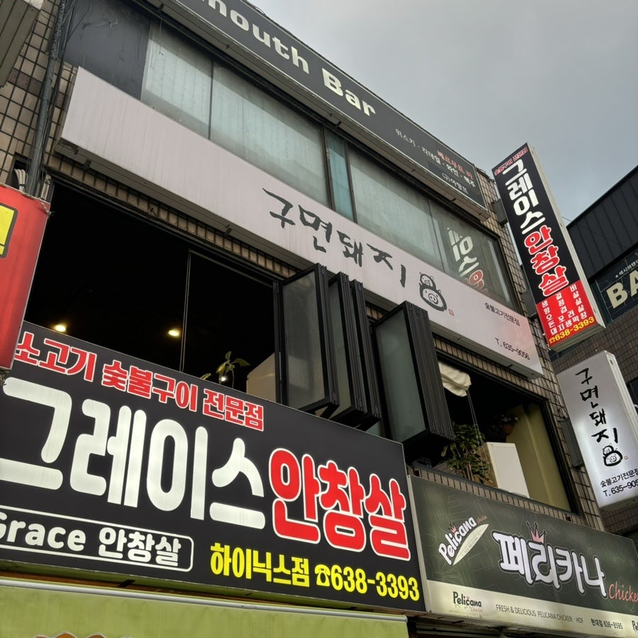 구면돼지 이미지