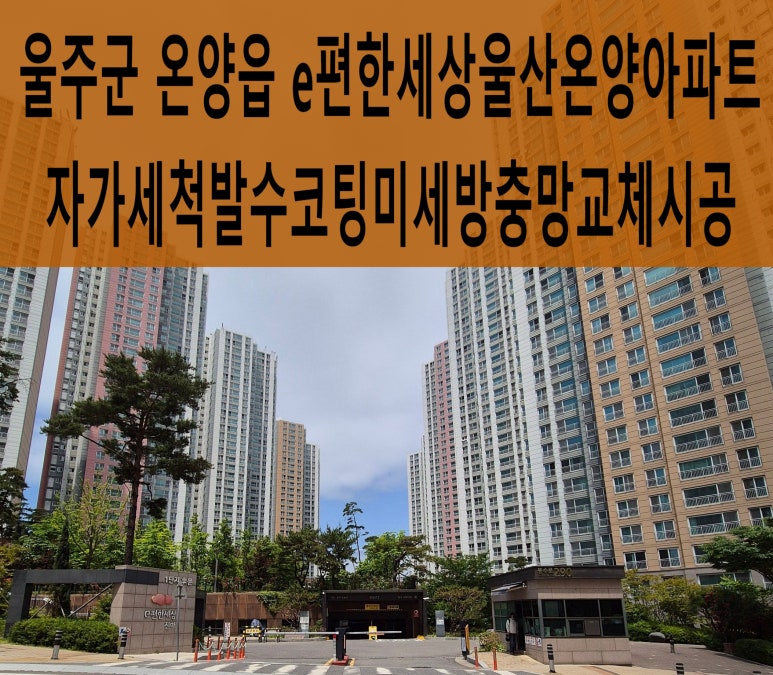 더존세상 이미지