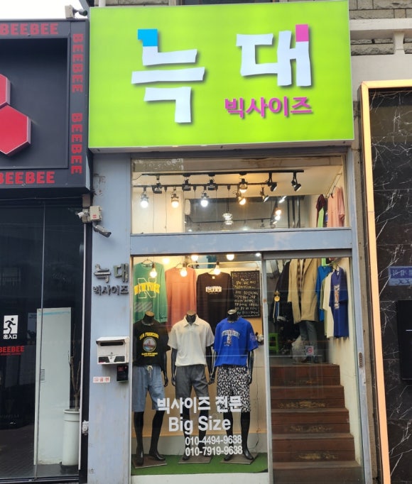 로대오 이미지