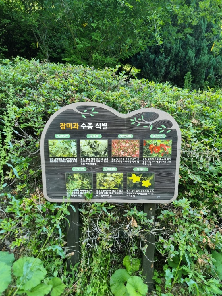 수목 비교 관찰원 이미지