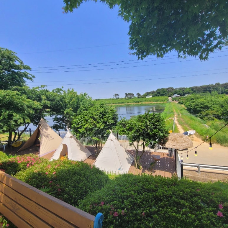 카페공식339 이미지