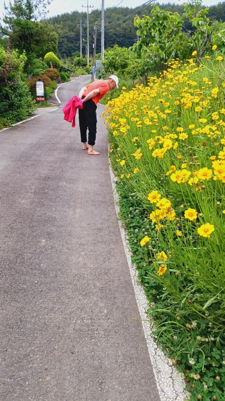 털보야채 이미지