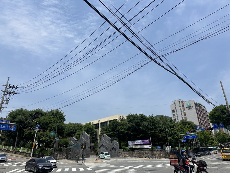 제육불패 이미지