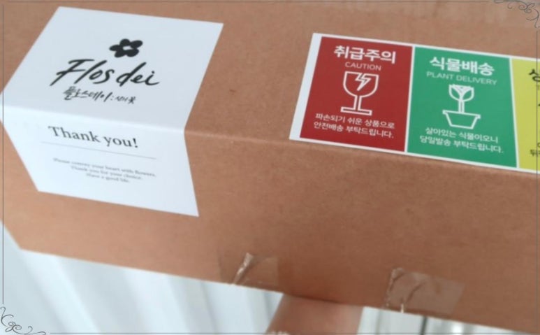 오늘, 꽃데이 이미지